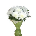 Bouquet из белых хризантем