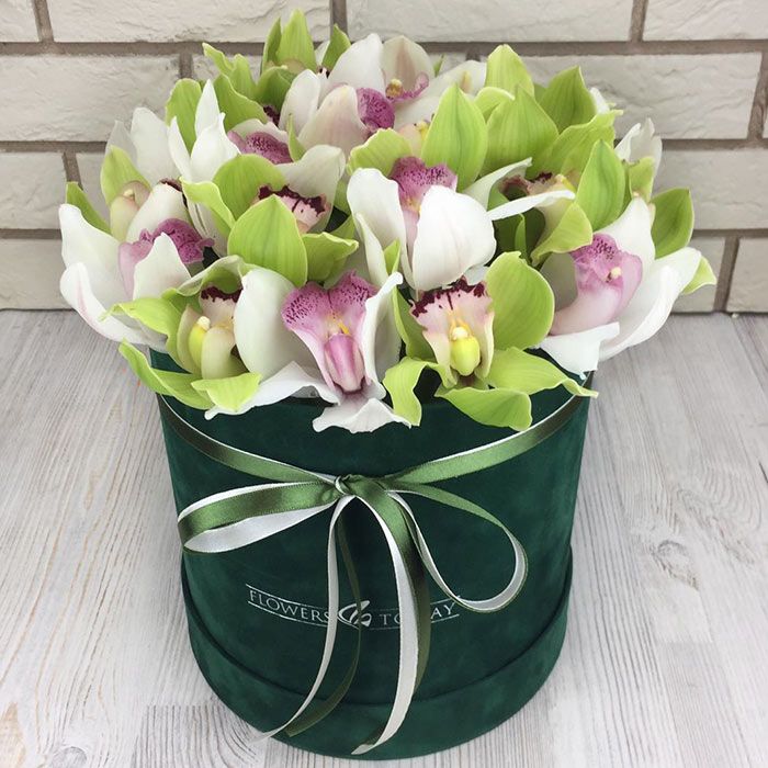 Орхидеи в коробке щелково 7 доставка цветов