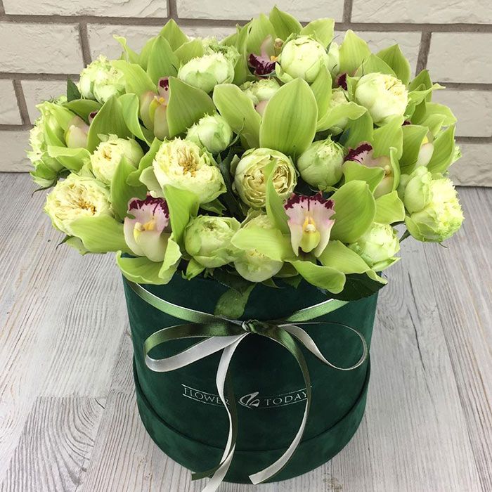 Зеленые орхидеи 15 шт, Пионовидные кустовые розы 10 шт, Бархатная шляпная  коробка, Размер самой коробки без цветов: диаметр - 20см высота - 20см На  фото коробка из 25 цветов!,