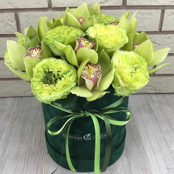 Зеленые пионовидные розы с орхидеями в бархатной коробке