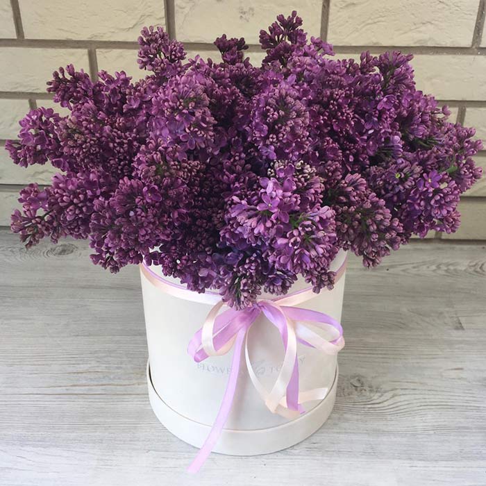 Сирень в коробке