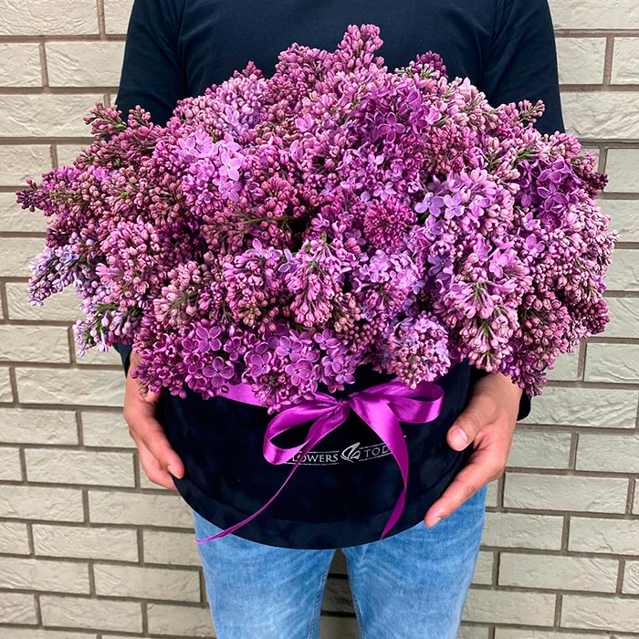 Сирень в черной коробке