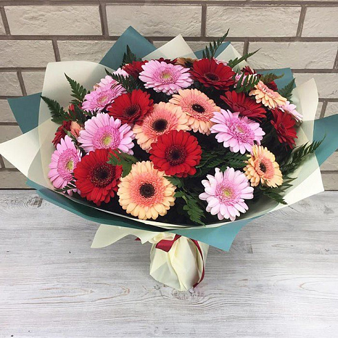 Мини герберы микс