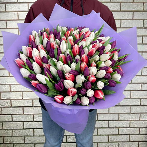 151 тюльпанов микс