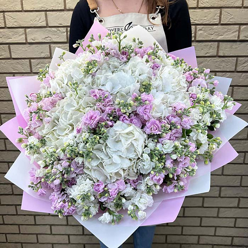 Гортензии и маттиолы