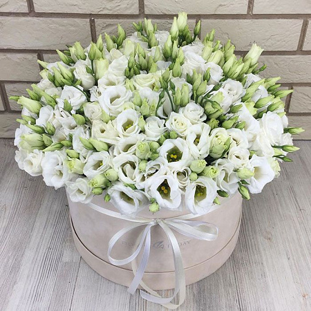 Белые эустомы в бархатной коробке