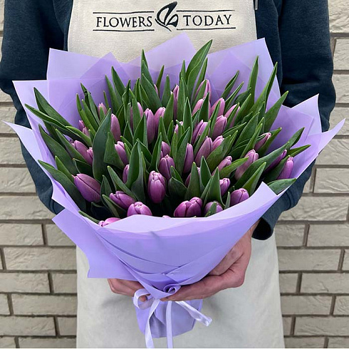 Фиолетовые тюльпаны