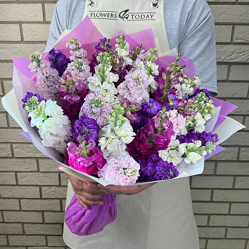 Маттиолы микс