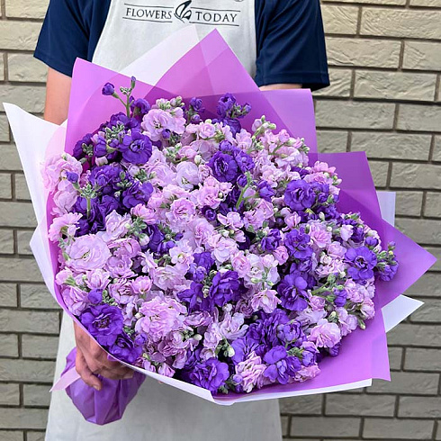 Маттиолы микс