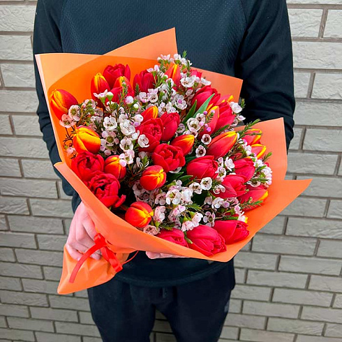 Оранжевые и красные тюльпаны микс с хамелациумом