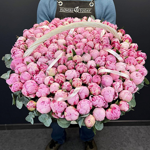 151 пион в корзине