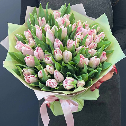 49 нежно розовых тюльпанов