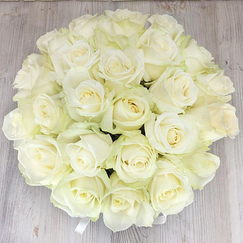 25 роз в бархатной коробке