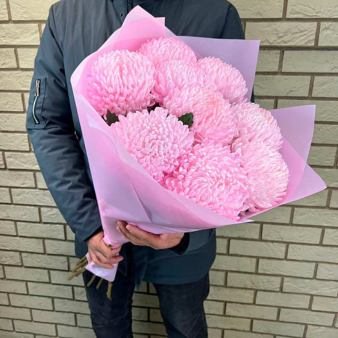 9 розовых крупных хризантем