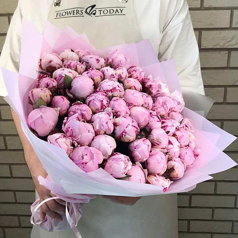 51 розовый пион