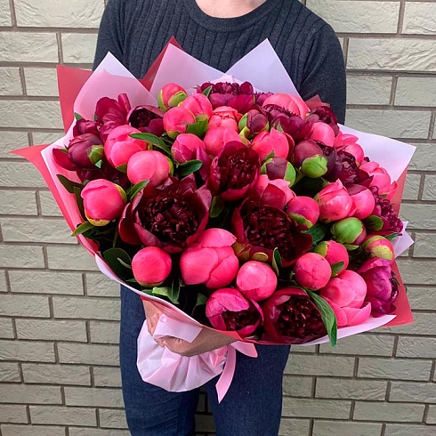 Пионы микс в матовой упаковке