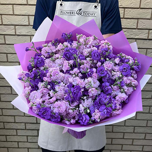 Маттиолы микс