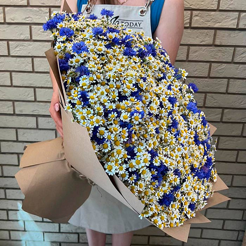 Ромашки и васильки