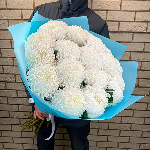 19 крупных белых хризантем