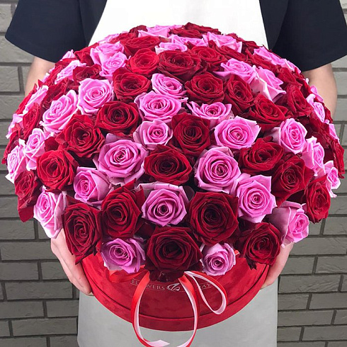 101  красная и розовая роза