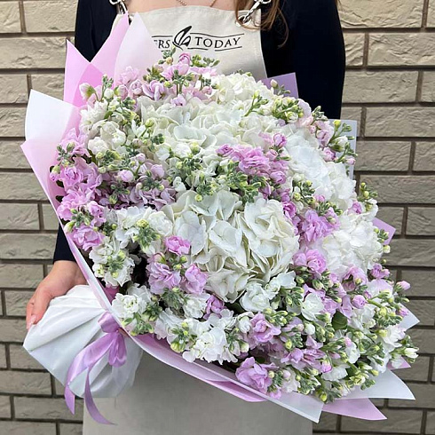 Гортензии и маттиолы