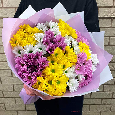 15 кустовых хризантем микс