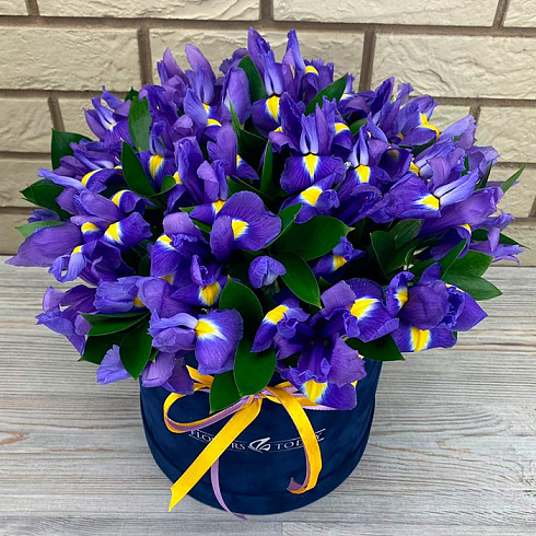 Ирисы в коробке