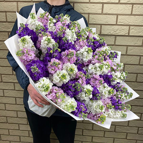 Маттиола микс в дизайнерской плёнке