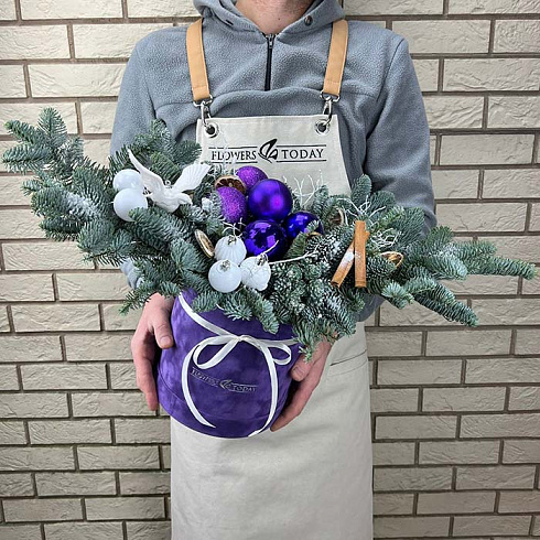 Живая ель с игрушками в коробке