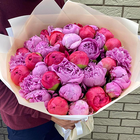 Кораловые и розовые пионы