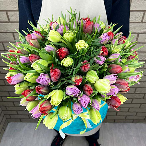 151 микс пионовидных тюльпанов в коробке