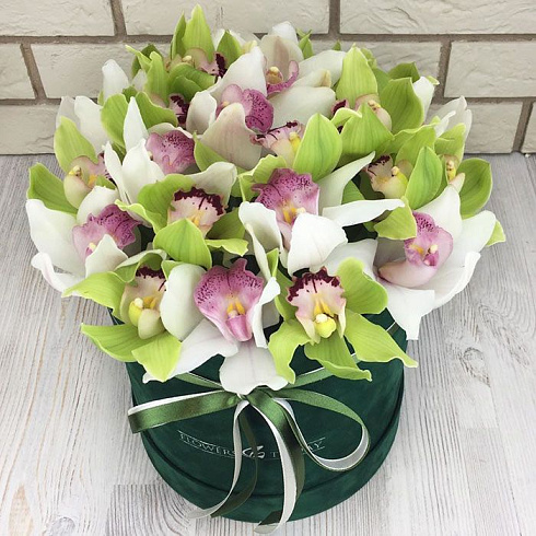 Белые и зеленые орхидеи в коробке