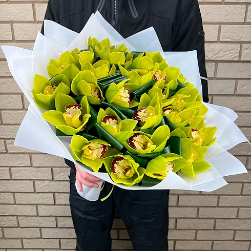 Зеленые орхидеи