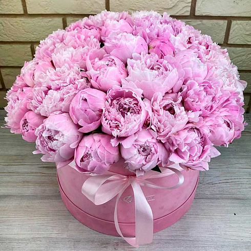 51 розовый пион в коробке