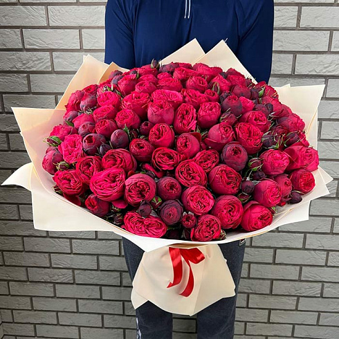 101 красная пионовидная роза