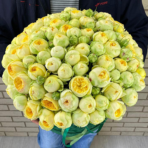 Зеленые кустовые пионовидные розы в коробке