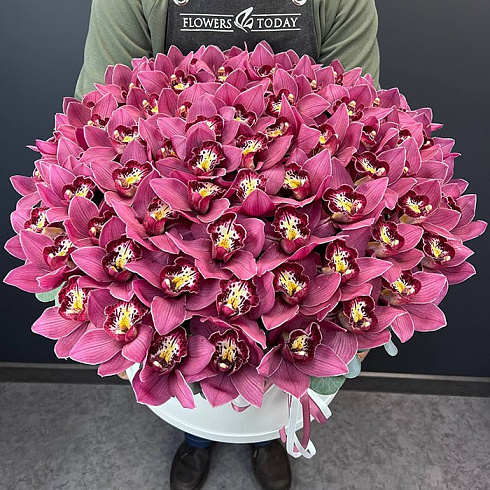 Яркие розовые орхидеи в коробке