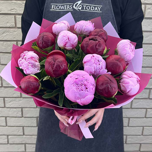 Розовые и бордовые пионы