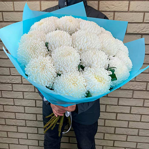 19 крупных белых хризантем