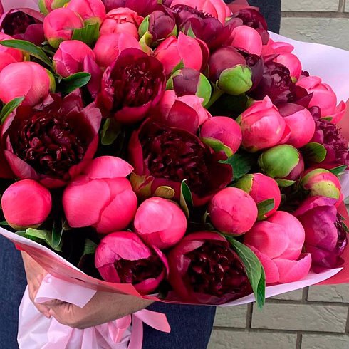 Пионы микс в матовой упаковке