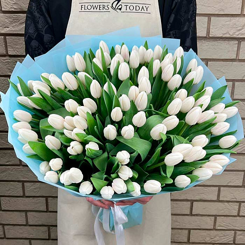 101 белый тюльпан