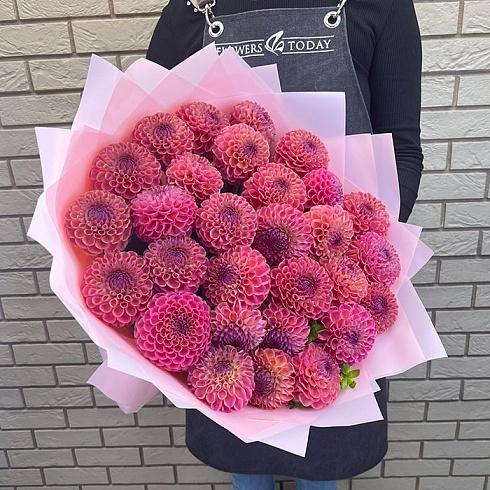 29 бордовых георгин в дизайнерской упаковке