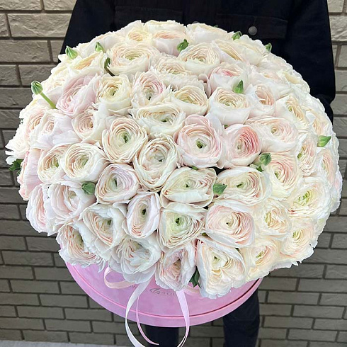 101 ранункулюс в коробке