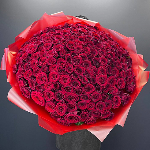 201 красная роза