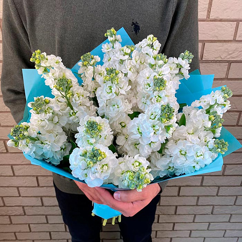 19 маттиол в упаковке с атласной лентой