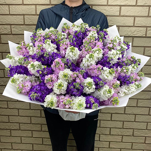 Маттиола микс в дизайнерской плёнке