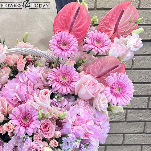 Гортензии, антуриумы и герберы в корзине