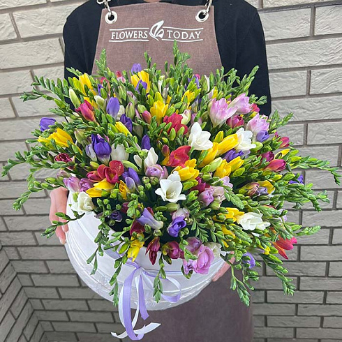 Фрезии микс в коробке