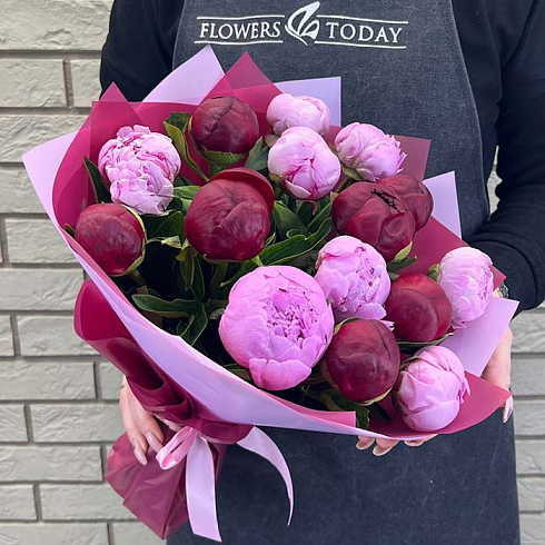 Розовые и бордовые пионы