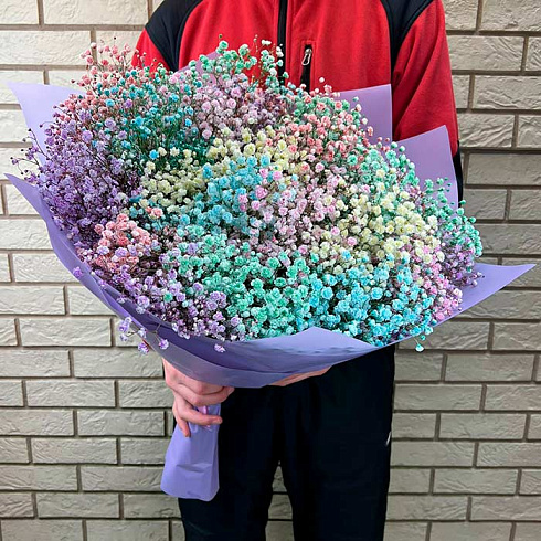 25 радужных гипсофил